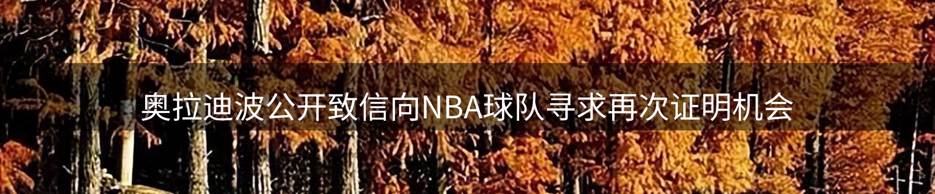 公司快讯