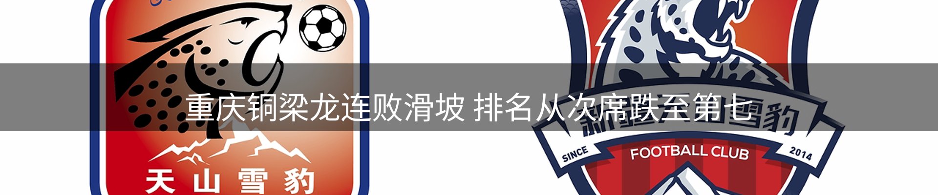 公司快讯